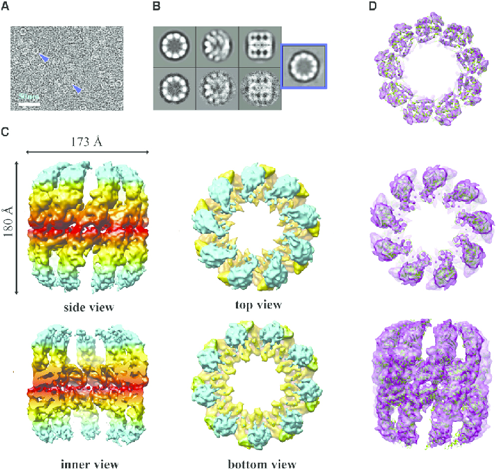 最终 3D 重构的切片,密度按强度着色。